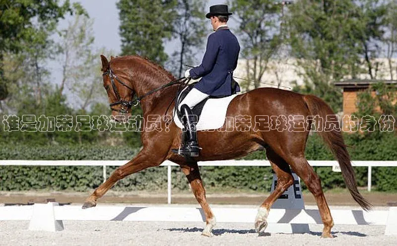 头玩官网登录入口百度大脑谁是加蒂足球运动员？揭秘加蒂足球运动员的身份