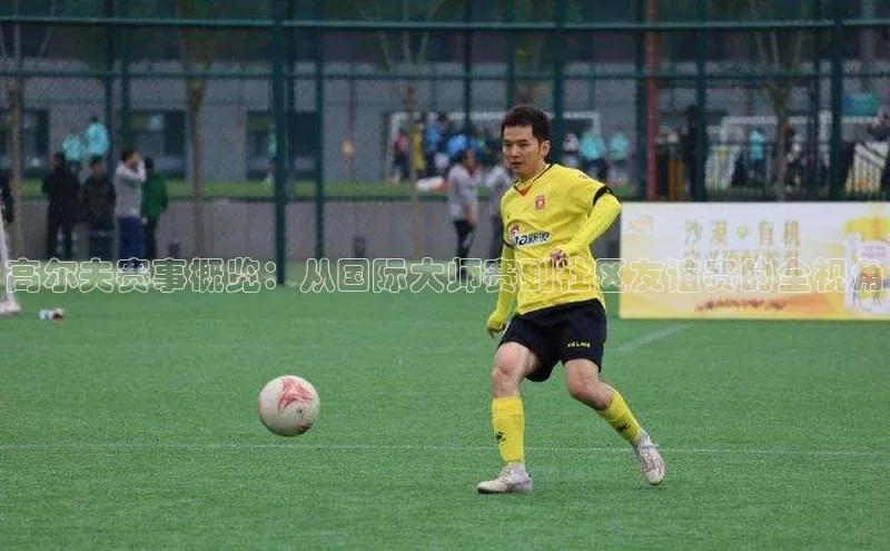 龙8官网正版百度网盘高尔夫赛事概览：从国际大师赛到社区友谊赛的全视角