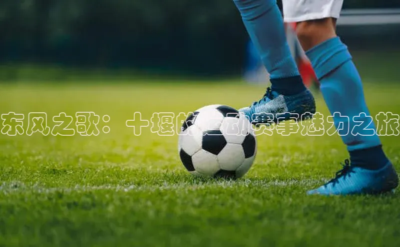 龙8中国官网唯一入口58同城东风之歌：十堰的运动赛事魅力之旅