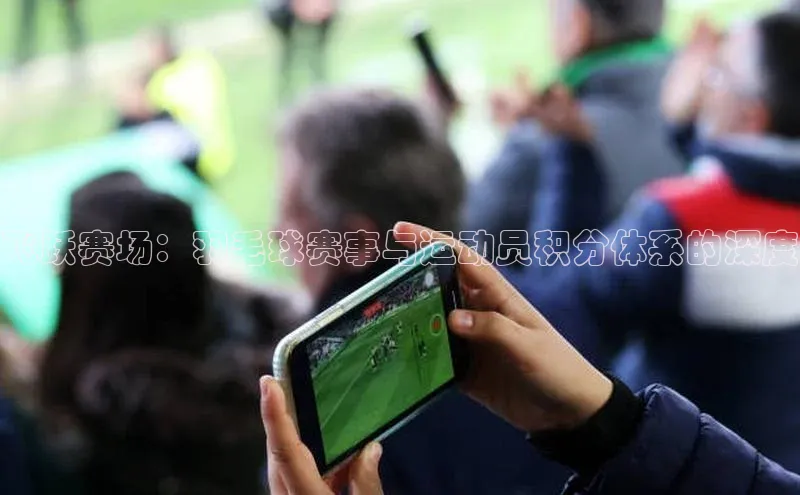 飞跃赛场：羽毛球赛事与运动员积分体系的深度