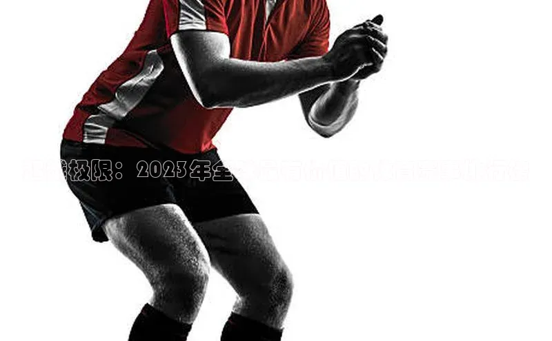 超越极限：2023年全球最有价值的体育赛事排行榜