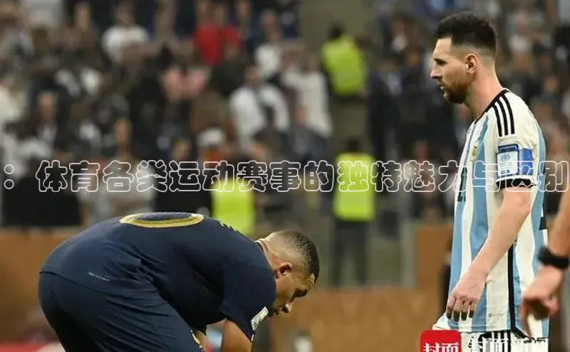 ：体育各类运动赛事的独特魅力与区别