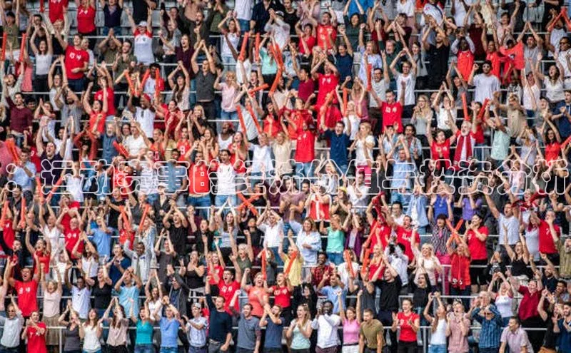 ：运动赛事的经济价值与投资分析