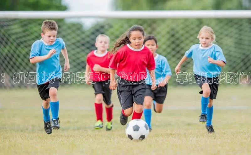 ：如何在运动赛事中成功购票，享受精彩瞬间