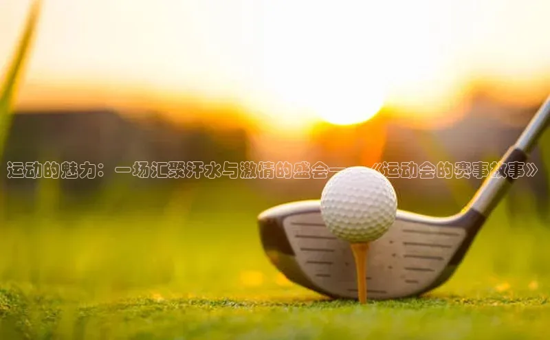 运动的魅力：一场汇聚汗水与激情的盛会——《运动会的赛事故事》