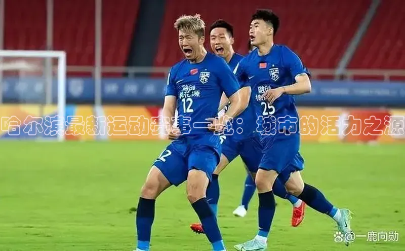 哈尔滨最新运动赛事一览：城市的活力之源