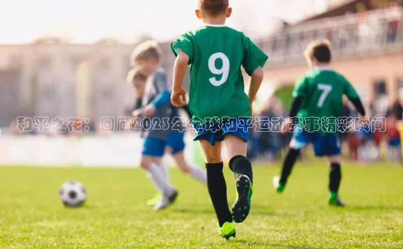 和平之花：回顾2023年全球和平运动赛事精彩瞬间