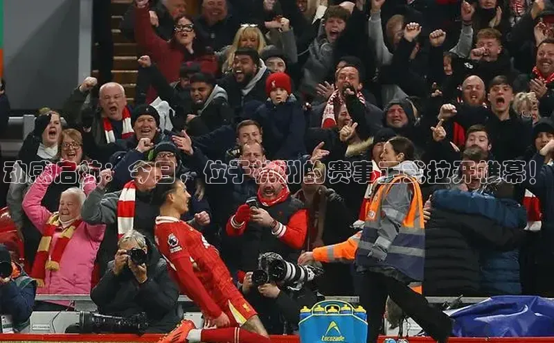 动感启航：今日，位于杭州的赛事正式拉开帷幕！