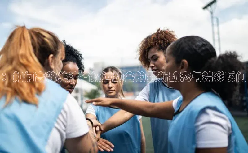 ：如何高效关注省级运动会的最新动态与精彩瞬间