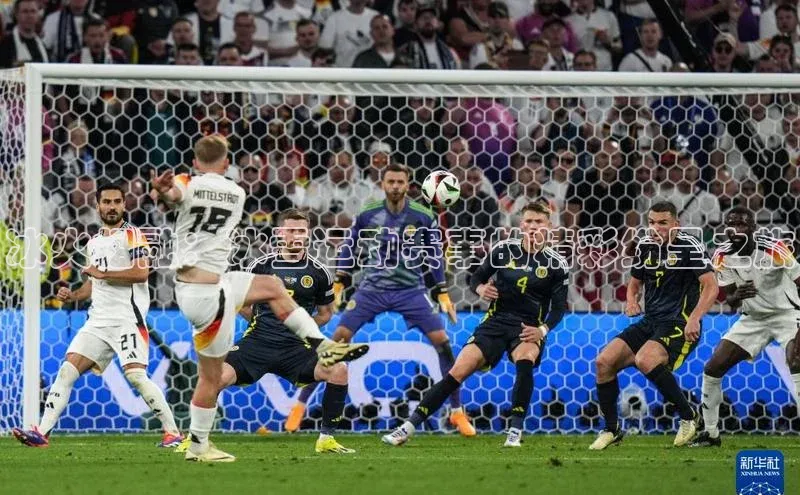 冰火相融：冰雪运动赛事的精彩纷呈之旅