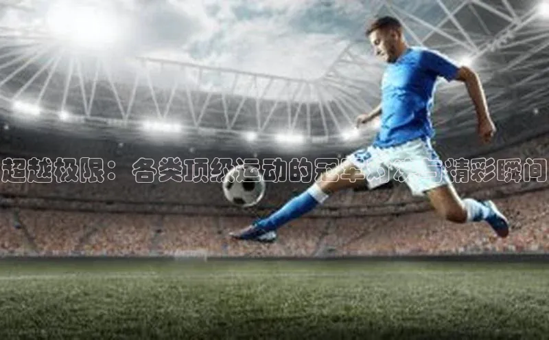 龙8网页版登录官网