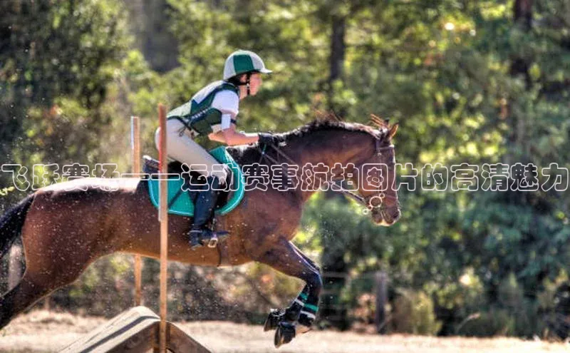 龙8网页版登录官网