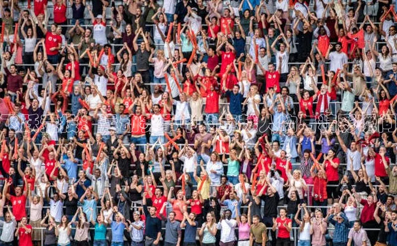 龙8官网在线试玩