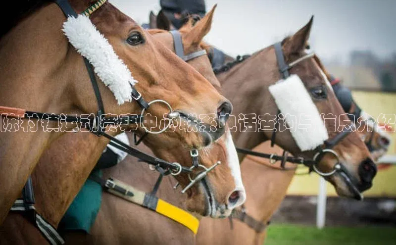 头号玩家唯一官网官方版