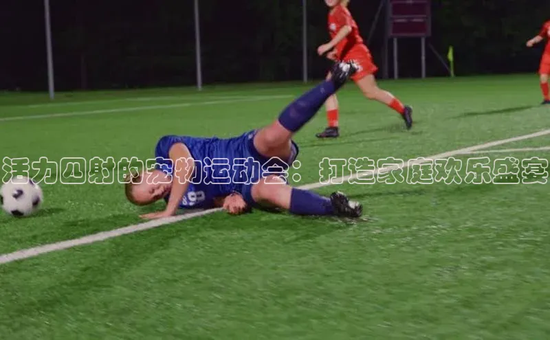 龙8网页版登录官网