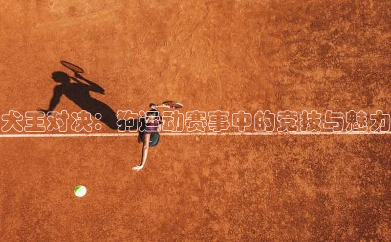 头号玩家官方网站