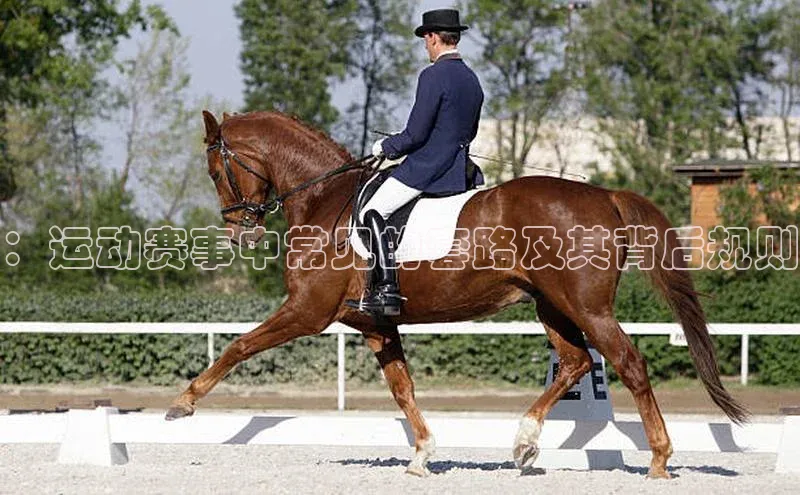 头号玩家官方网站