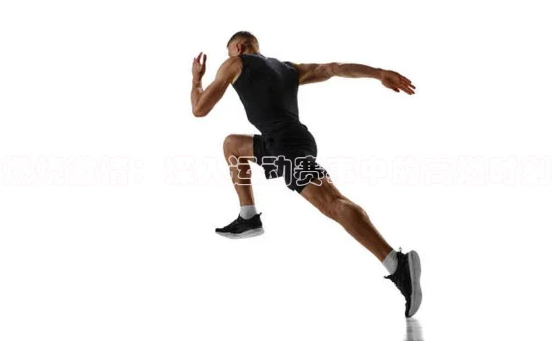 龙八国际app官网