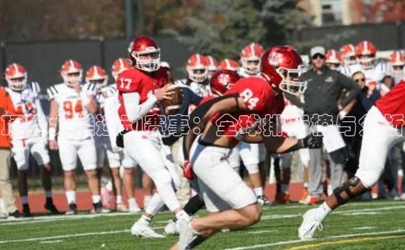 顶级犬类运动赛事：全球排行榜与分析